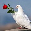 user2222902112318
