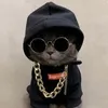 jijiijaaolp