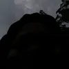 mauapako08