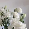 hidingformfinja