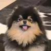 aliluvskorea