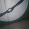 eliizabeth013