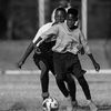 sthibo10_