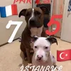 paris_istanbul75