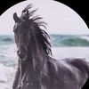 user04sqszjoy9