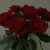 ibtissem_2025