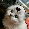 nattypookie0