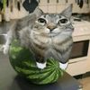el_takataka222