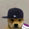 paulsanches508