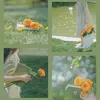 chiie_22_7