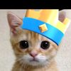 el.gato.insano1