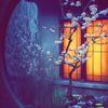 dossri_2