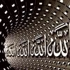 alaakoura50