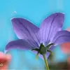 userxbxvwiz0x1