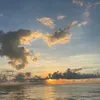 thanhxuyen08