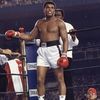 thegreatestforareason