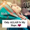 malik00914