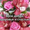 user14187017794848