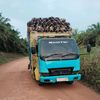 ekosulistiyono245