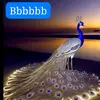 user9352527847481