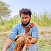 gullbaran01