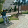.ced_ced