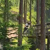 skiroooooo
