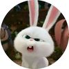 user619174134