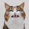 aboo1118