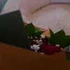 ppo_1112