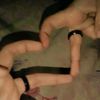 not_intrusted15