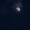 🖤