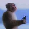 yuvziw