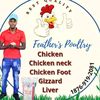 featherspoultry
