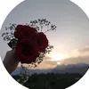 rose_98rose