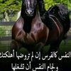 mohamedamir2904