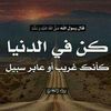 sajeedabilal2
