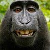 monkeman50000