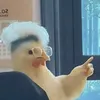 dyyanhaii