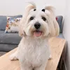 Xena_Maroua