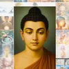 hanh.phuc.gian.don.26