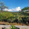refugio594