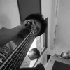 skyewith...kyle