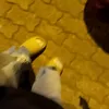iam_khongbietten_zgy