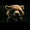 runningracoon
