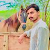 nabeel_saith73