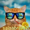 salsabrava20