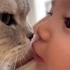 momyilyass