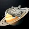 bumciaobaby