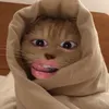 habibyashh